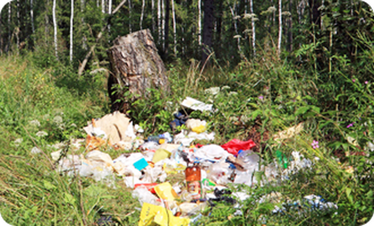 Помогите убрать мусор в лесопарковой зоне